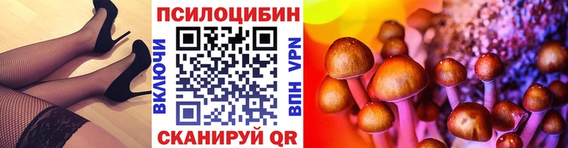 Галлюциногенные грибы Cubensis  Великие Луки 