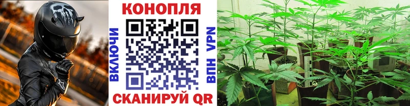 Канабис AK-47  это наркотические препараты  Великие Луки  как найти наркотики  МЕГА ONION 